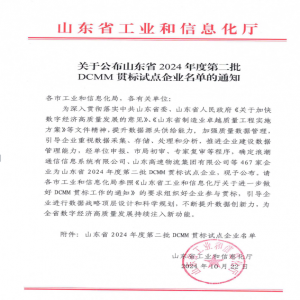 数智赋能！源海入选山东省DCMM贯标试点企业